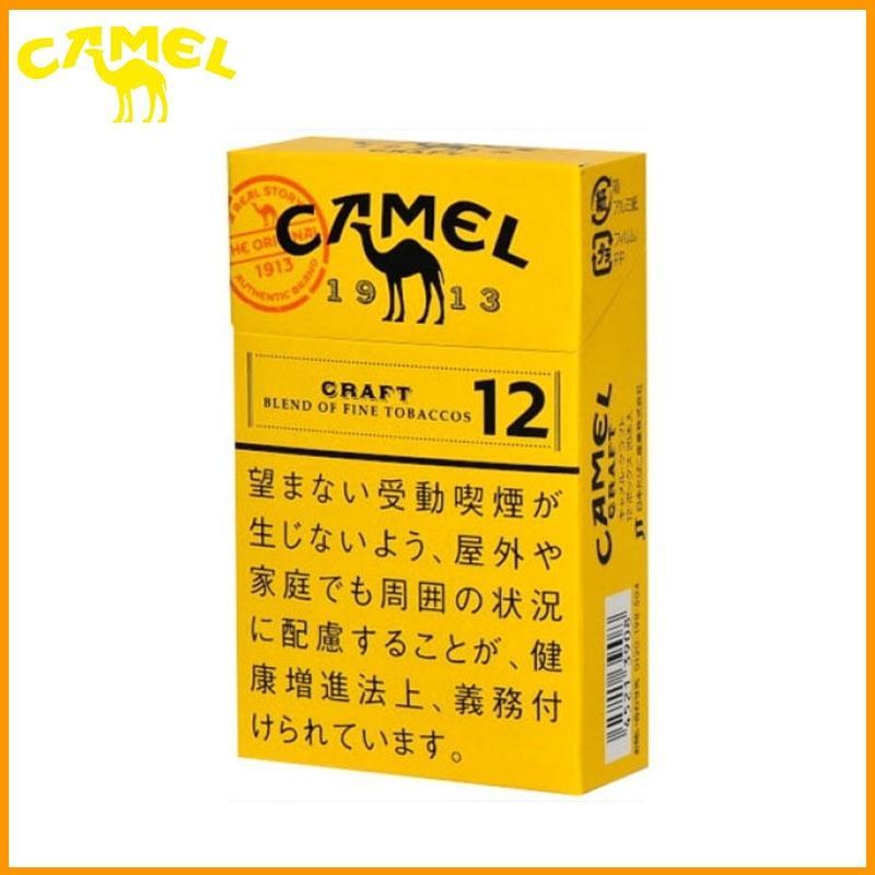 Camel Craft 12
