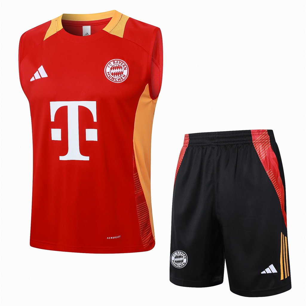 Bayern Munich Training Jersey 24/25