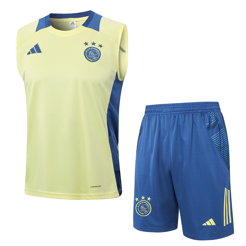 Ajax Training Jersey 24/25