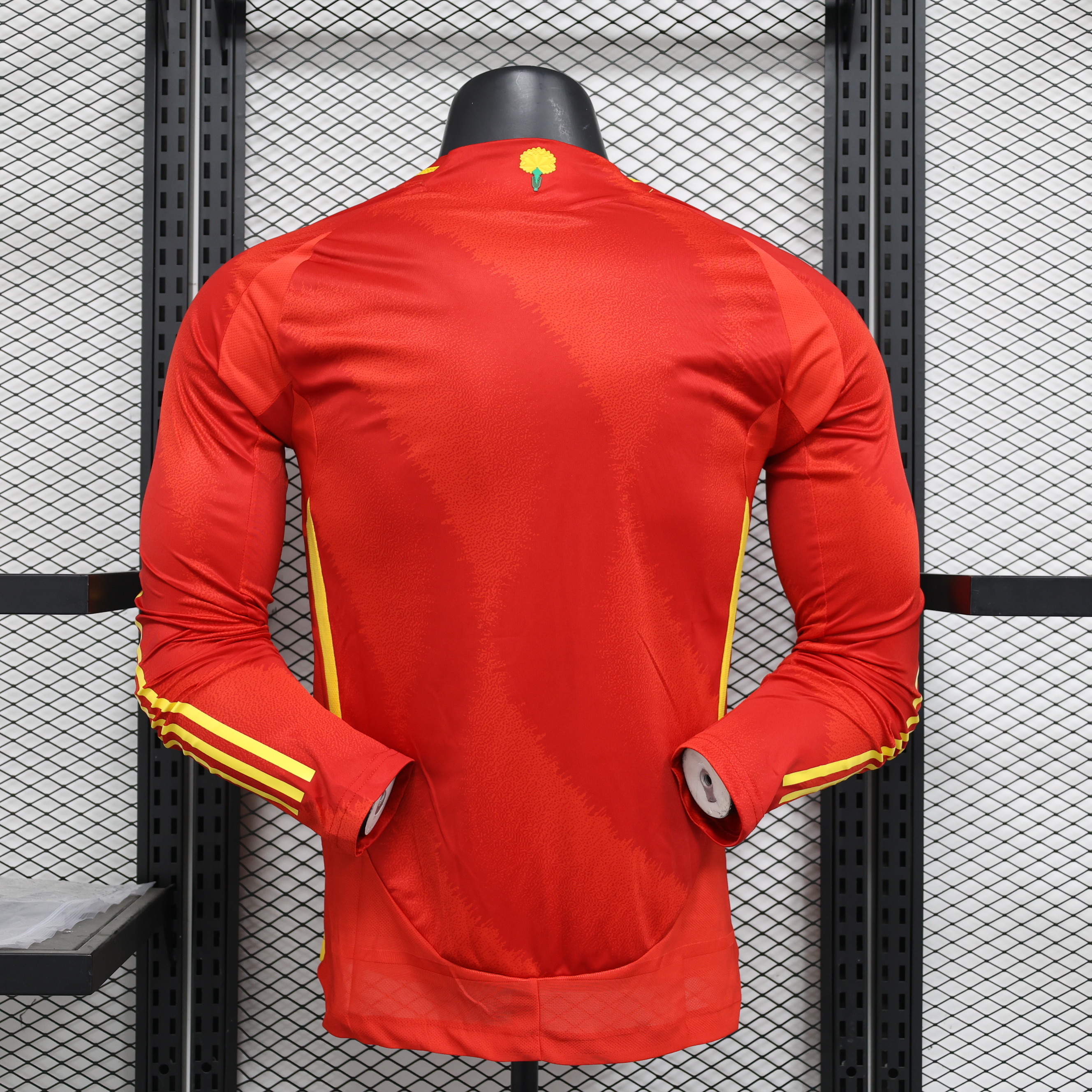 Spain 24/25 home player version