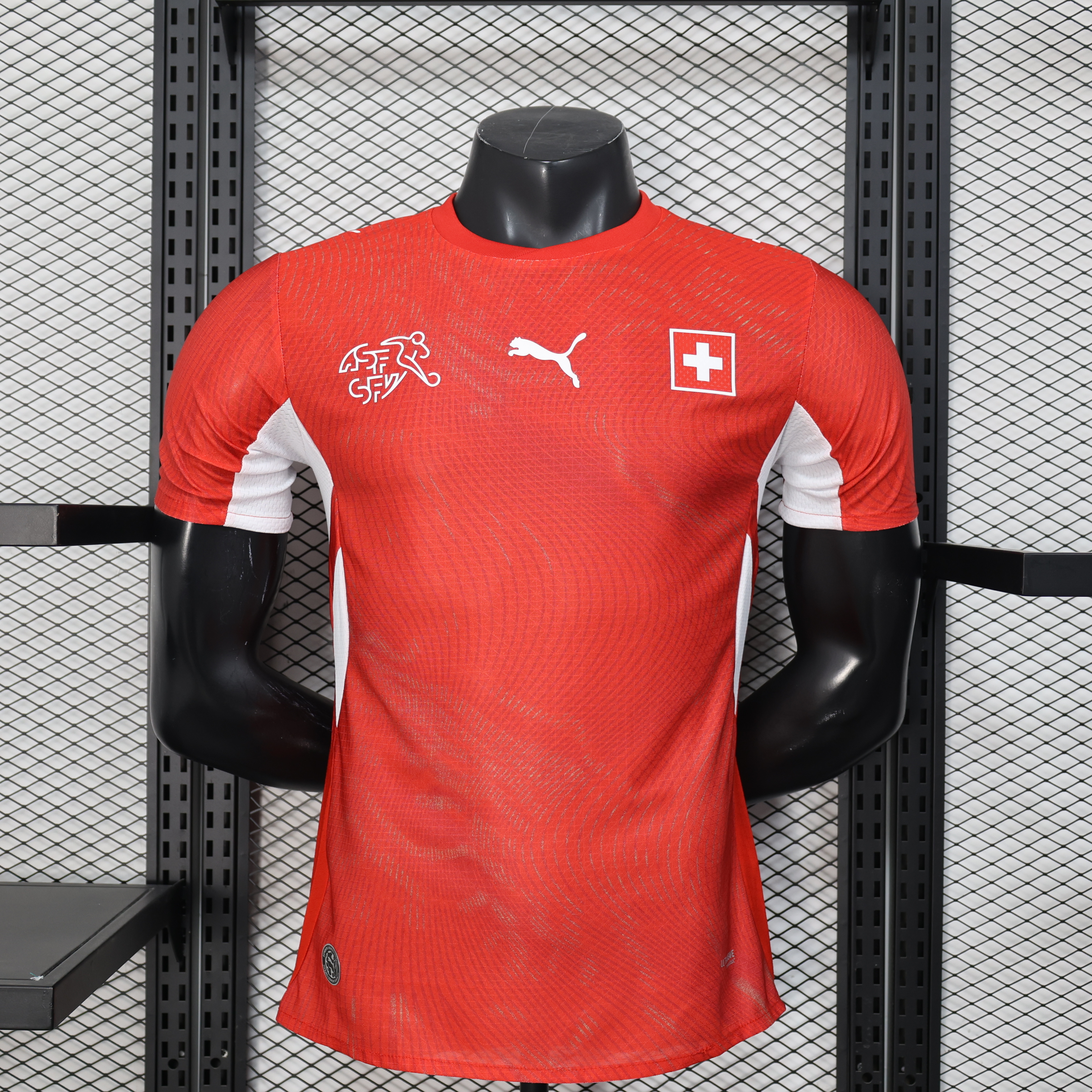 2026 Swiss player version