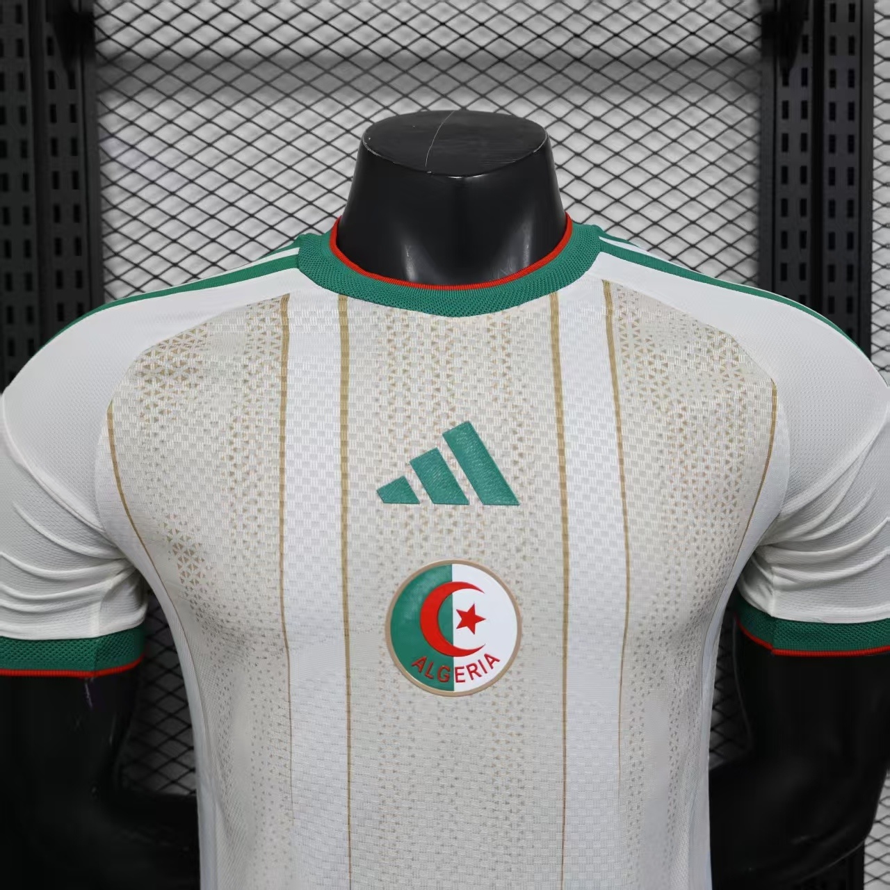 25/26 Algeria Home Player Version Jersey