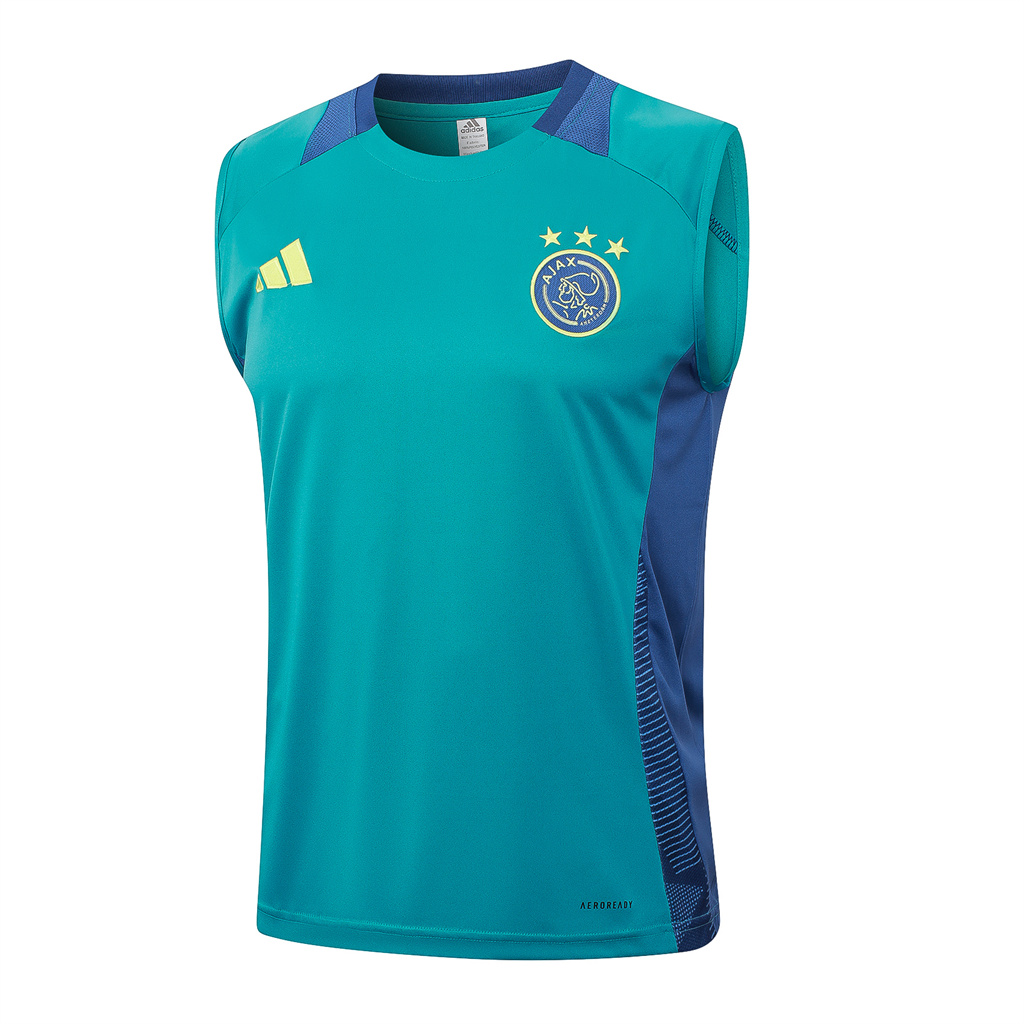 Ajax Training Jersey 24/25